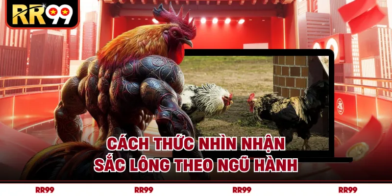 Cách thức nhìn nhận sắc lông theo ngũ hành