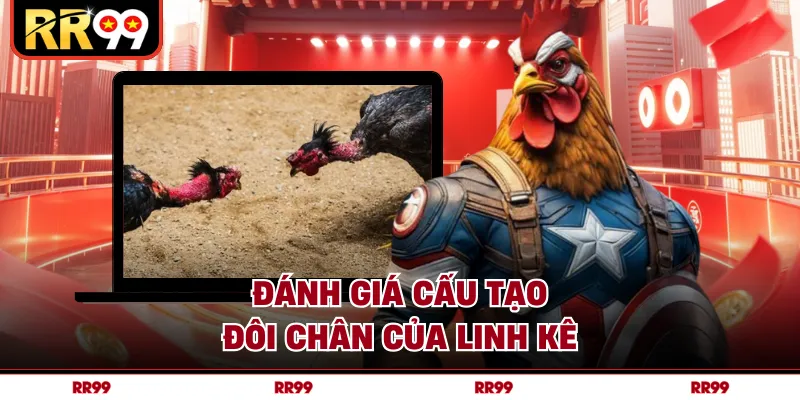 Đánh giá cấu tạo đôi chân của linh kê