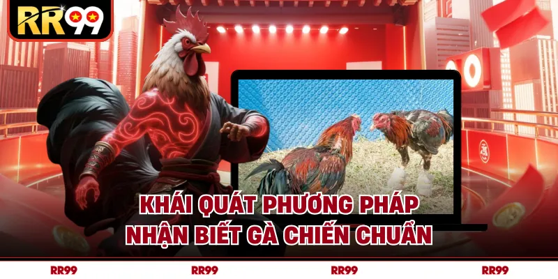 Khái quát phương pháp nhận biết gà chiến chuẩn