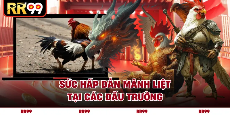 Sức hấp dẫn mãnh liệt tại các đấu trường