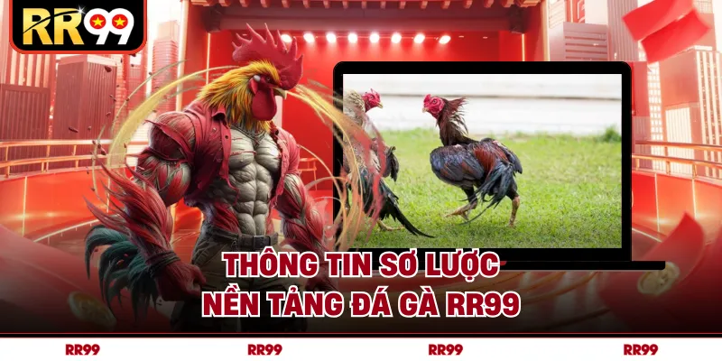 Thông tin sơ lược nền tảng đá gà RR99